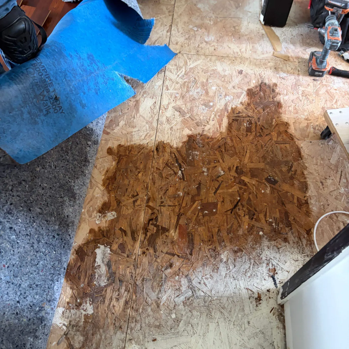 Thermal imaging during water damage assessment in Chatham residence